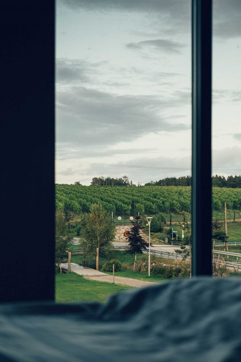 Förstora bild