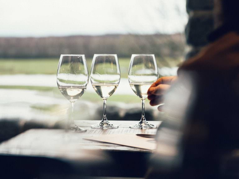 WINE TASTING