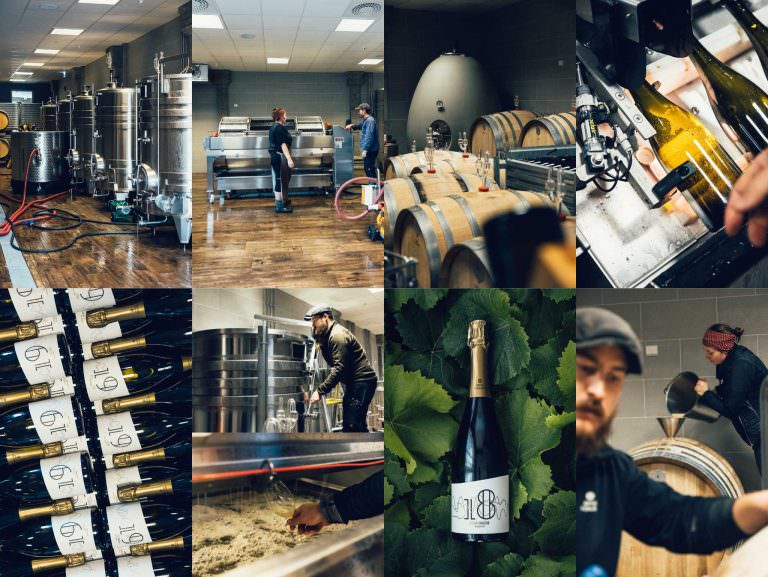 Vinproduktion