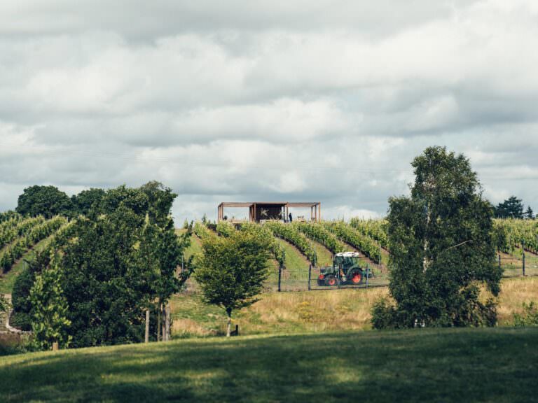 UPPLEV ÄSTAD VINGÅRD